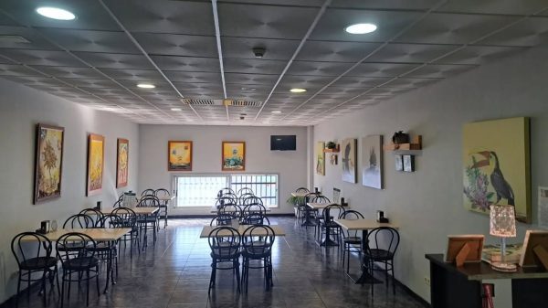 Buen día. Hace unas semanas nos ofrecían situar unos cuadros en la reapertura de la…